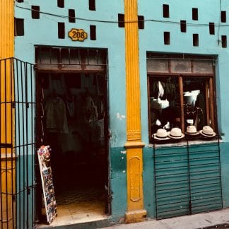 Hat Shop 8x10 Matted Print